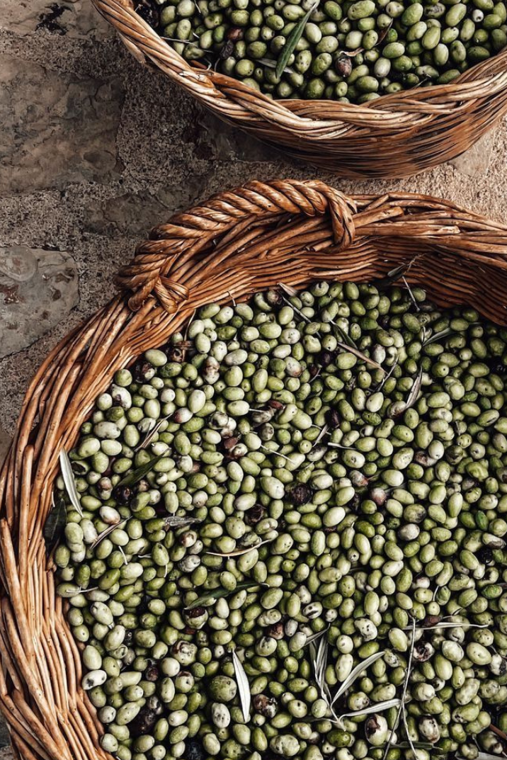 roductos locales y gourmet de Ibiza: sal marina, aceites y sabores mediterráneos auténticos.